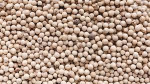 Cameroon White Pepper - Penja Valley's Finest